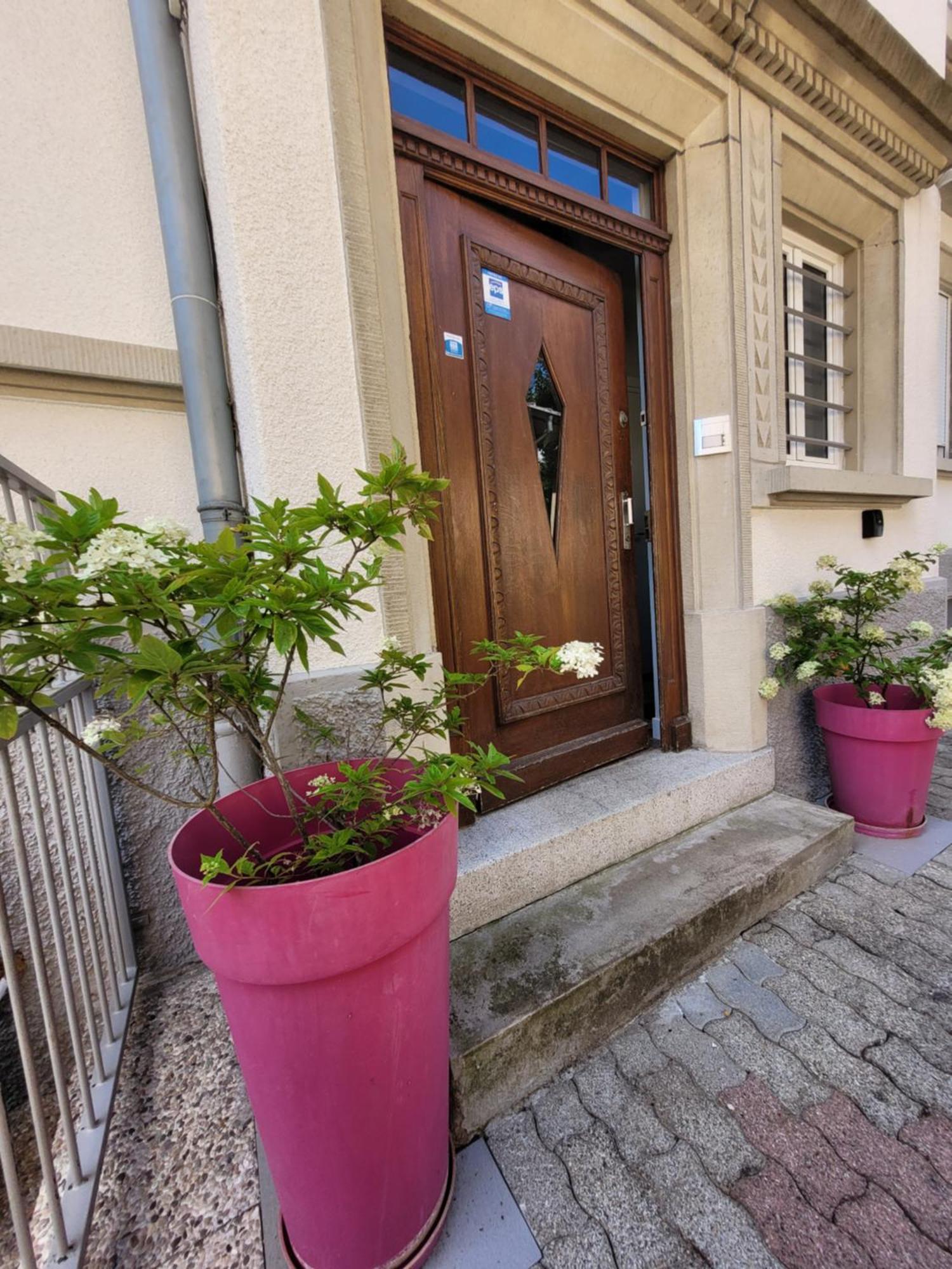 Le Cocon D'Emma, Terrasse, Jardin Et Elegance Dans Maison De Maitre Strasbourg Luaran gambar